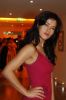 Filename=8.jpg
Filesize=94KB
Dimensions=352x529
Date added=Jul 19, 2008 8.jpg